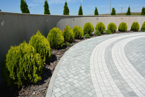 Best Brick Driveway Pavers  in Meadowbrook, CA